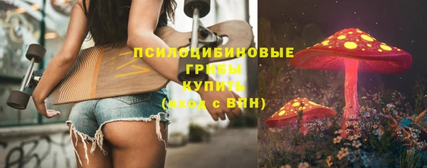 СК Алзамай