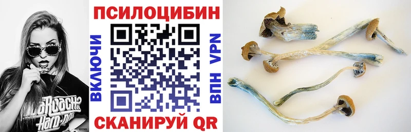 Галлюциногенные грибы ЛСД  Нижнеудинск 